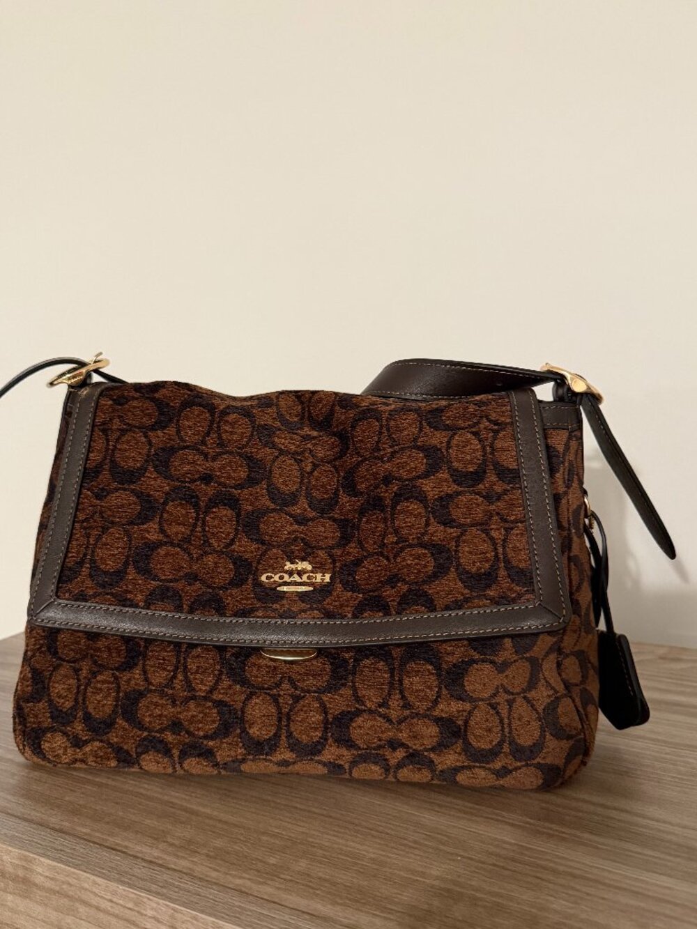 Coach Etta Chenille Bag